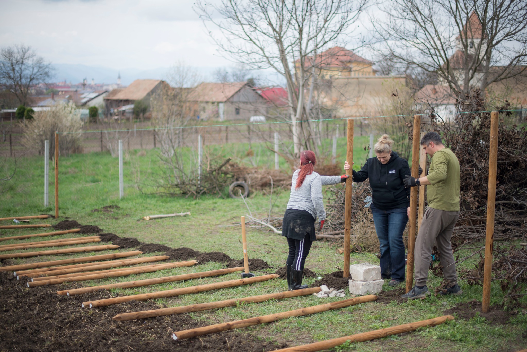 Șura Culturală Gușterița 9